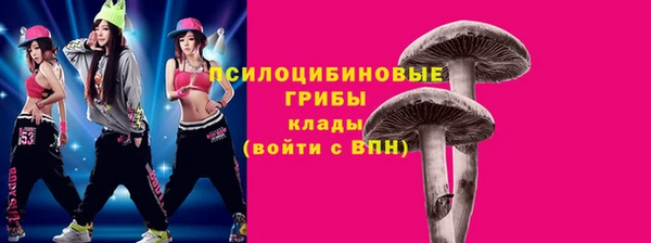 дмт Абаза