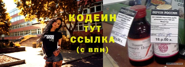 дмт Абаза