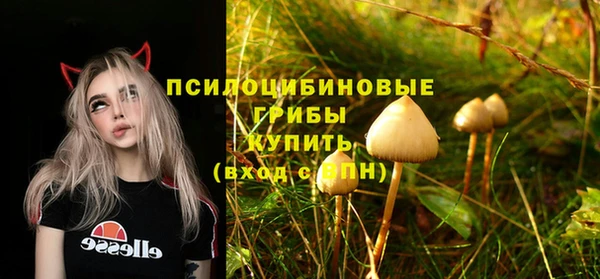 крисы Абинск