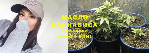 дмт Абаза