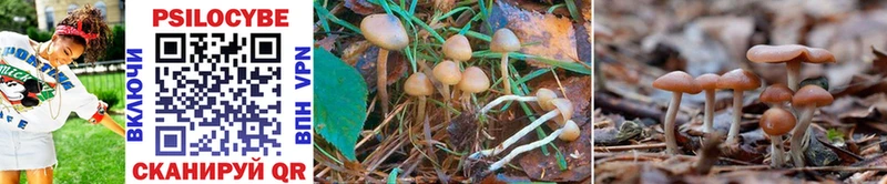 OMG ссылки Лебедянь Галлюциногенные грибы Magic Shrooms магазин продажи